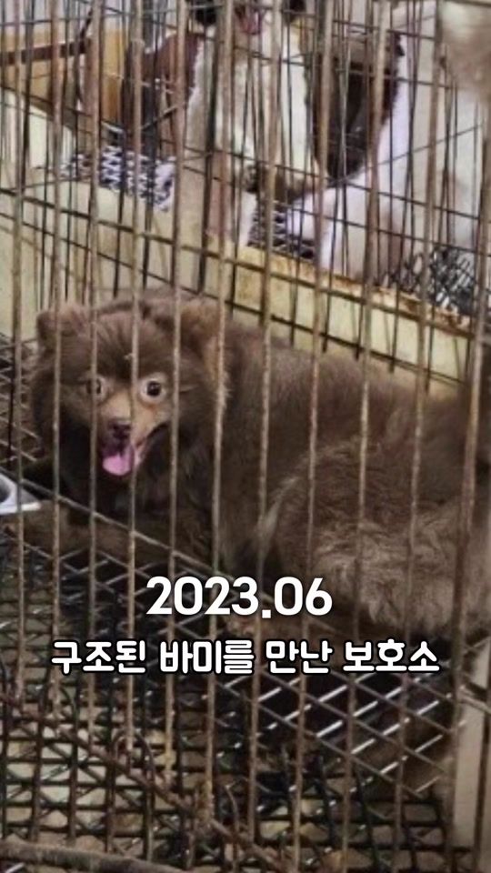 TikTok video thumbnail by br0wnbam