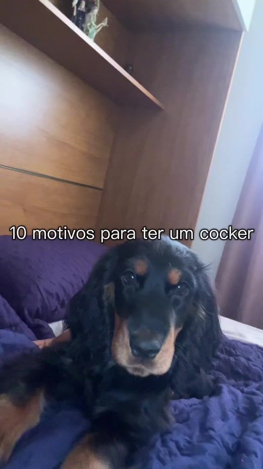 TikTok video thumbnail by the.daniiii