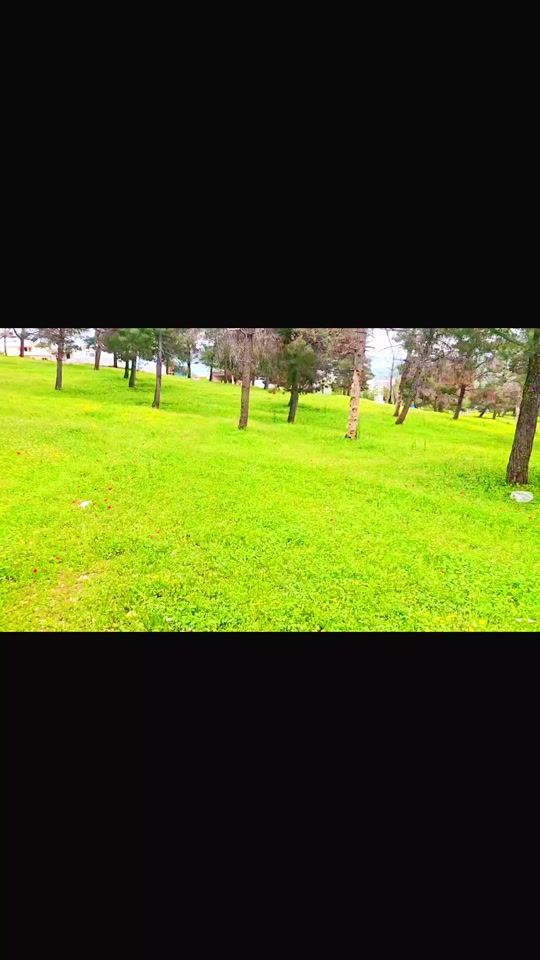 TikTok video thumbnail by o_j_b