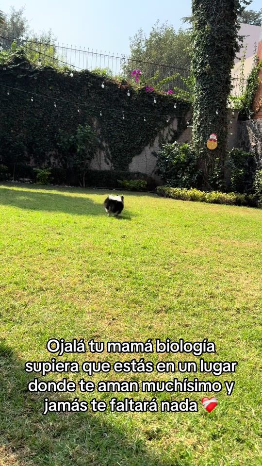 TikTok video thumbnail by maritzakuri