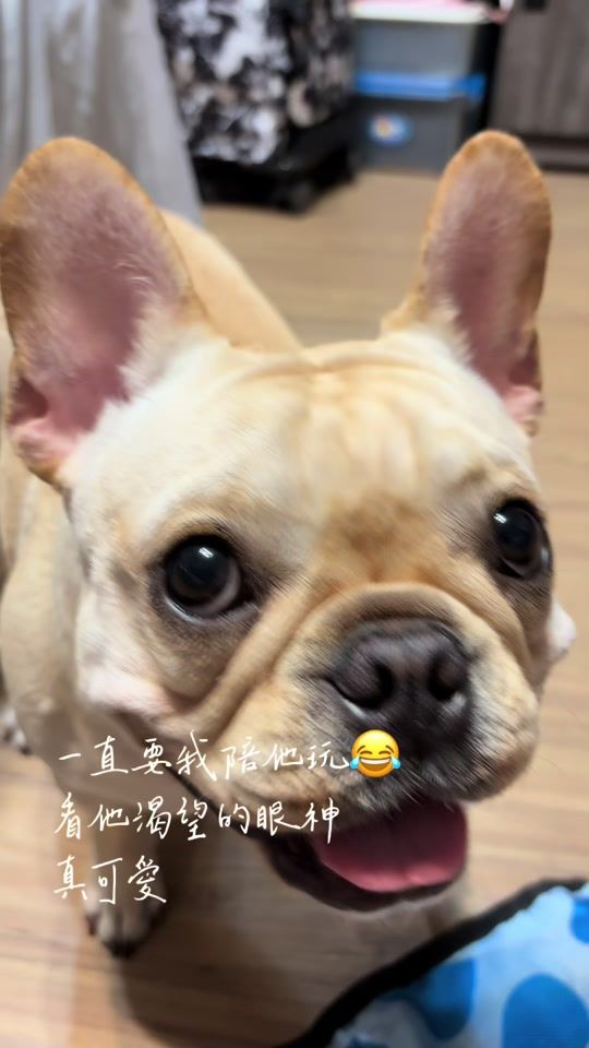 TikTok video thumbnail by nicole980012