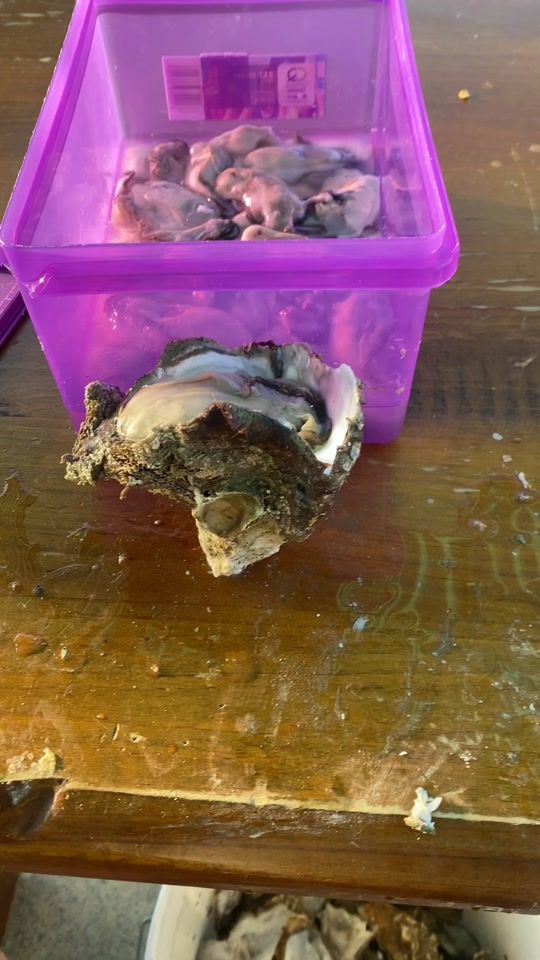 TikTok video thumbnail by paraikz