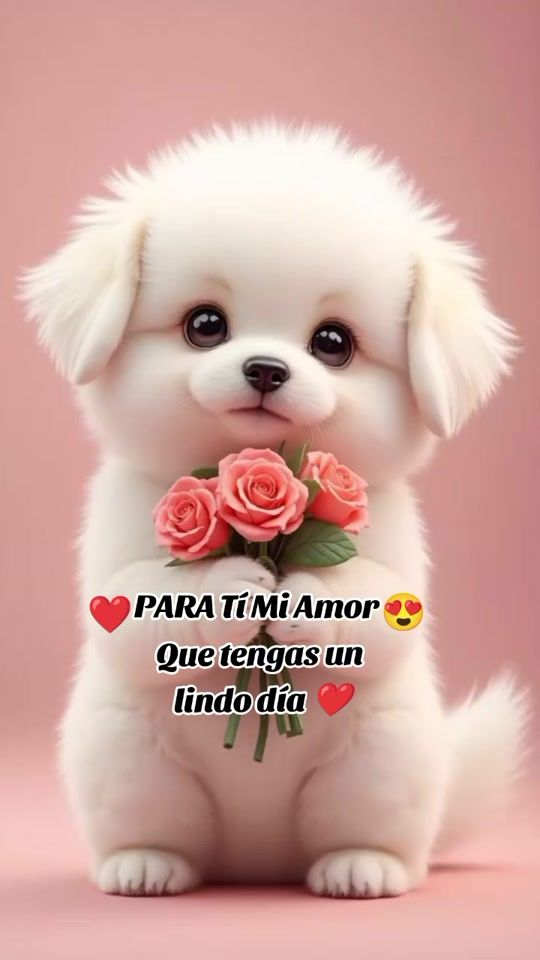 TikTok video thumbnail by danielaeliana1