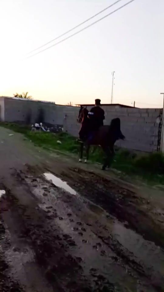 TikTok video thumbnail by t_7br