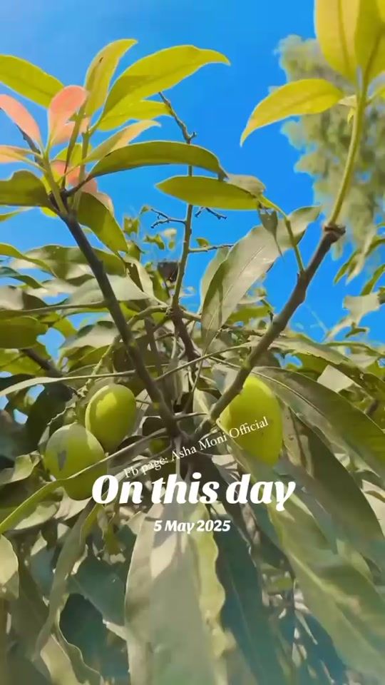 TikTok video thumbnail by asha.moni0985