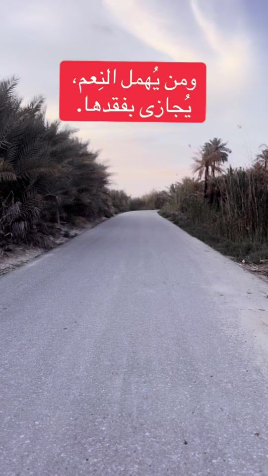 TikTok video thumbnail by basilsamawi