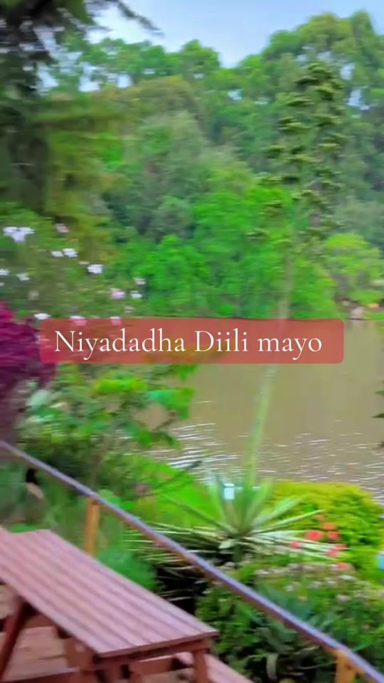 TikTok video thumbnail by salman.br7