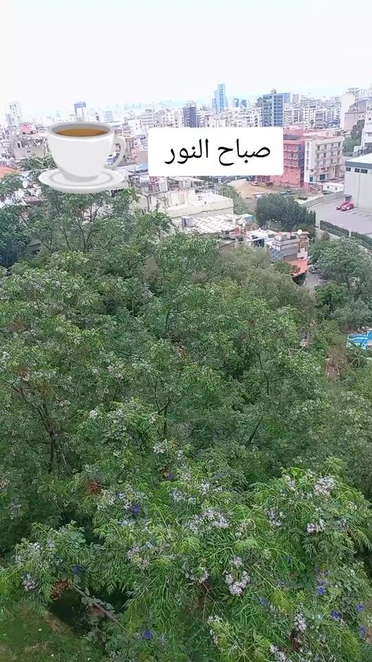 TikTok video thumbnail by nanadany783