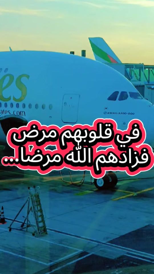 TikTok video thumbnail by pidro.or