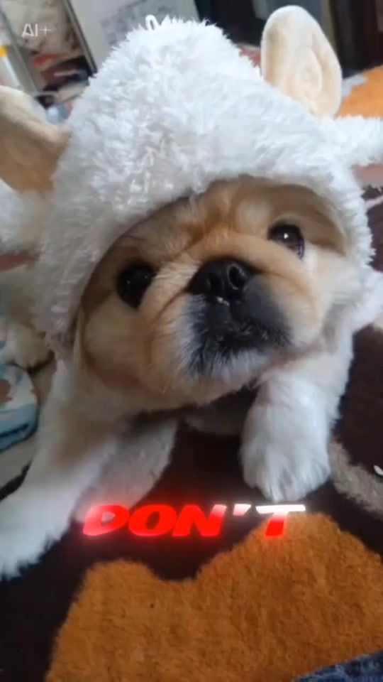 TikTok video thumbnail by usern9br2a111f
