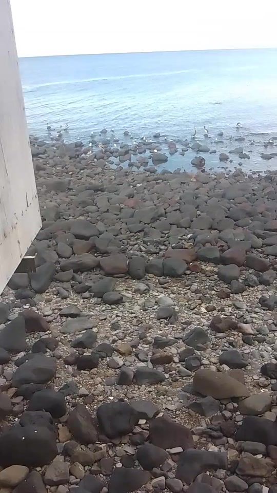 TikTok video thumbnail by yomara404