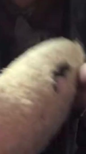 TikTok video thumbnail by ssleeeppzz