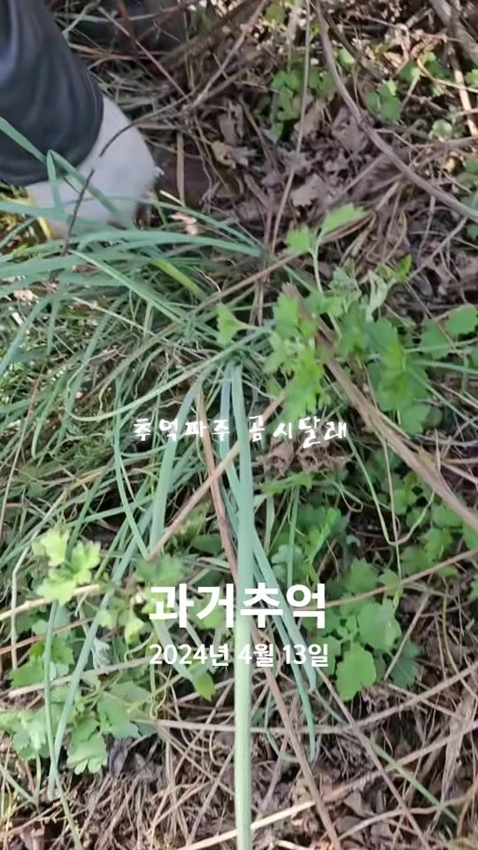 TikTok video thumbnail by jaehyunjang6