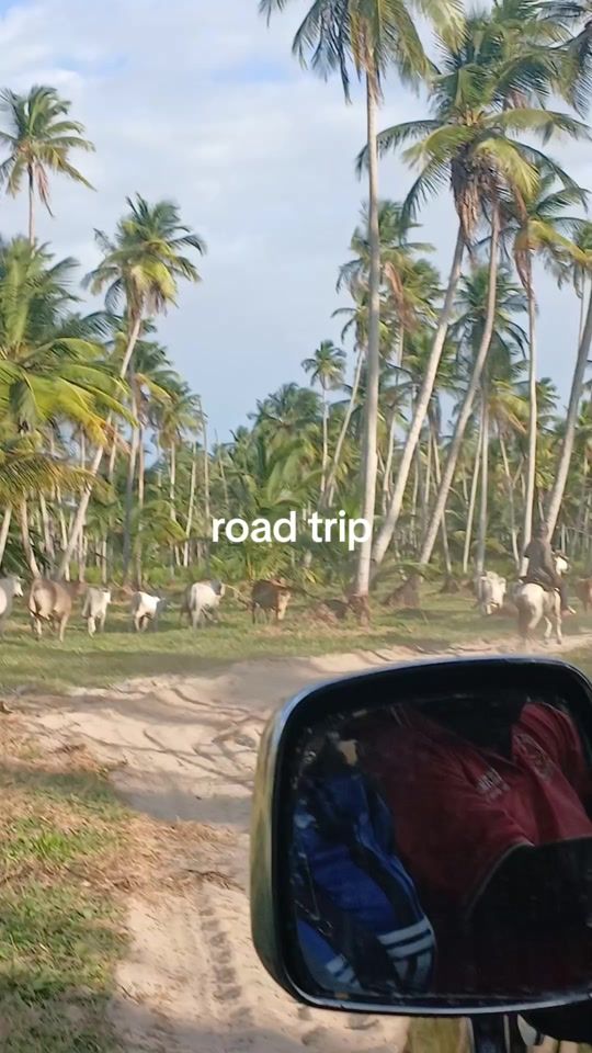 TikTok video thumbnail by sassyshelly8