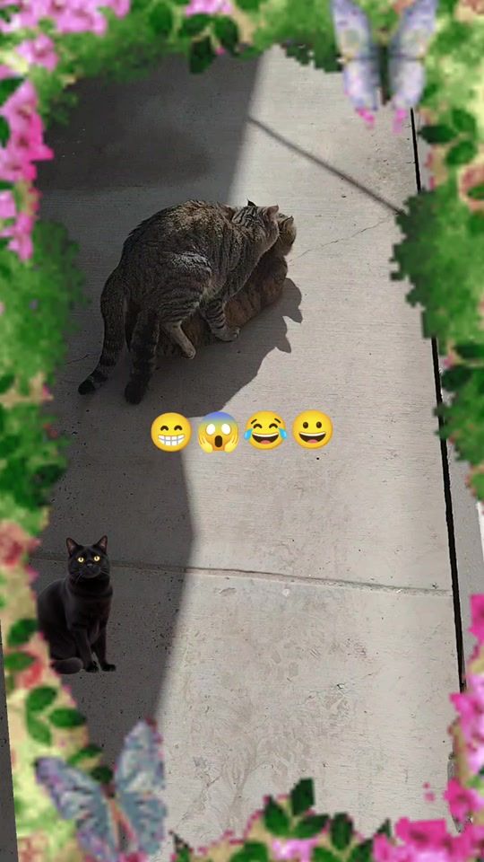 TikTok video thumbnail by cilginkr1