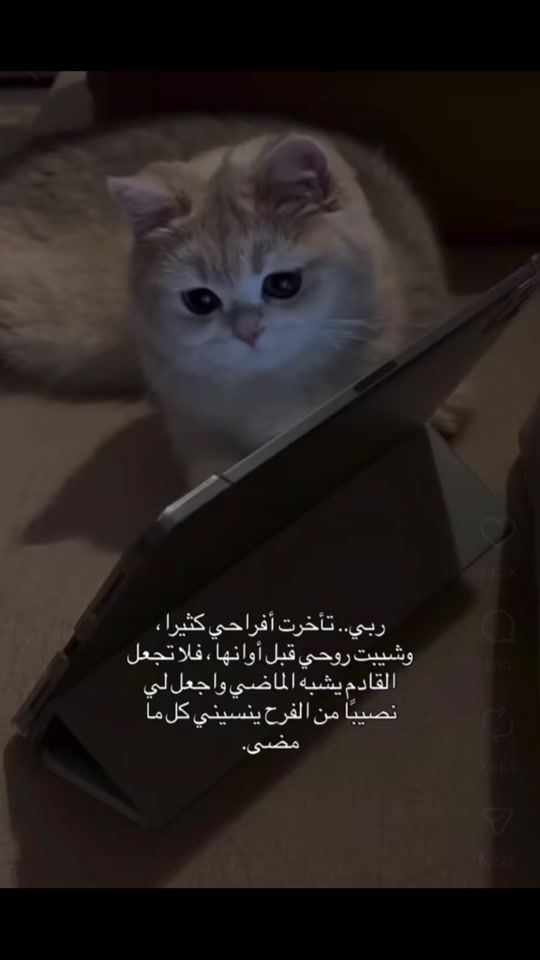 TikTok video thumbnail by dayla17_7