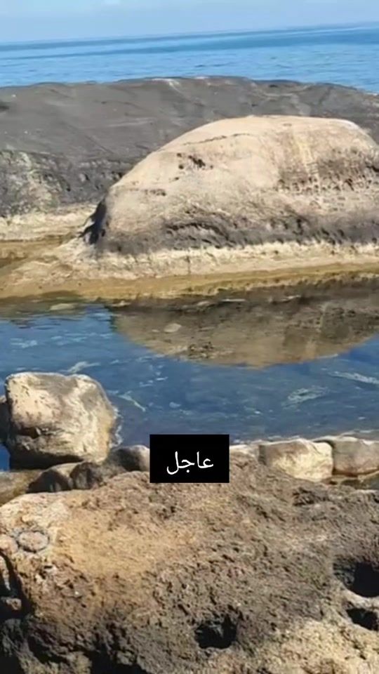 TikTok video thumbnail by pocho_1111