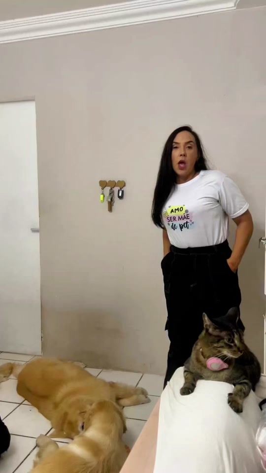 TikTok video thumbnail by sexteto4patas
