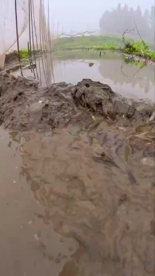 TikTok video thumbnail by skt_entertainment