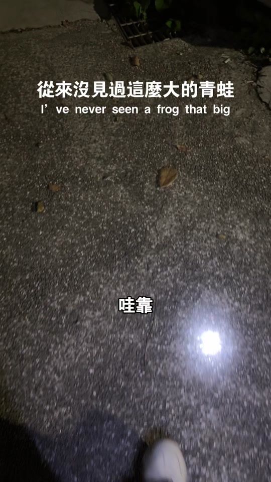 TikTok video thumbnail by 24ktang