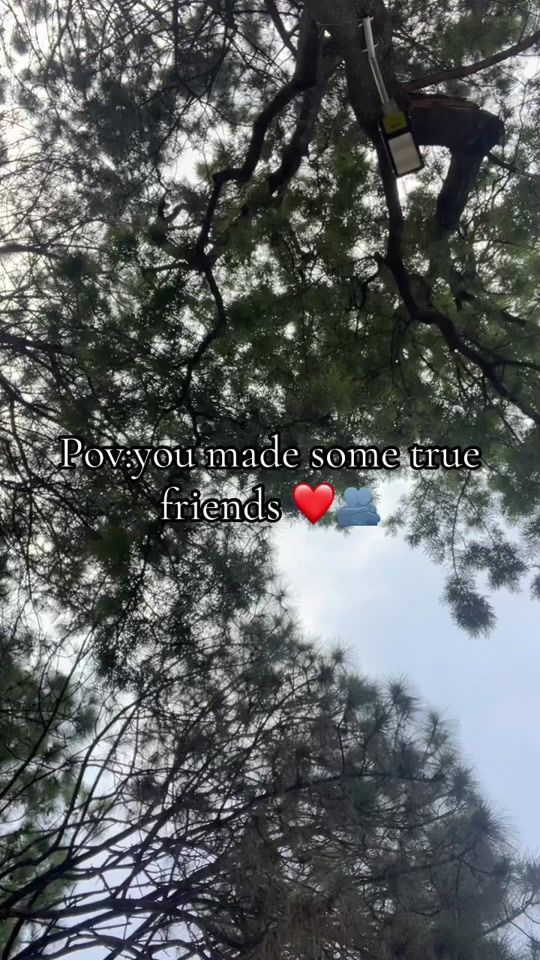 TikTok video thumbnail by swastikadari