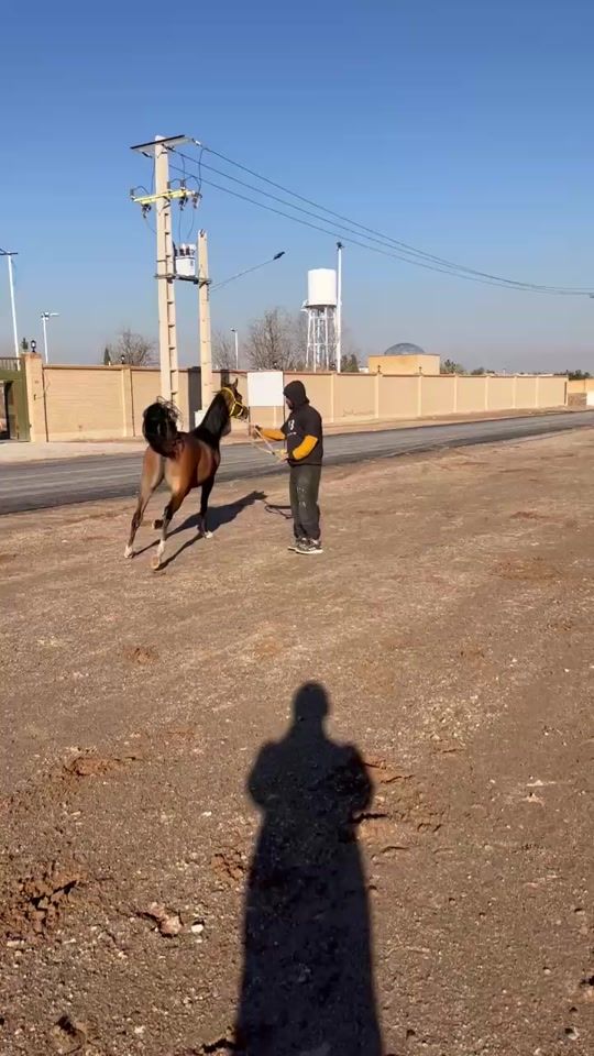 TikTok video thumbnail by aram.baneh
