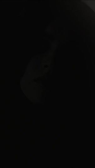 TikTok video thumbnail by st6rrstruck