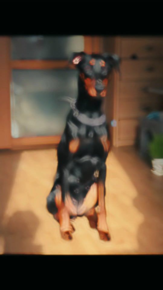 TikTok video thumbnail by arogantu00