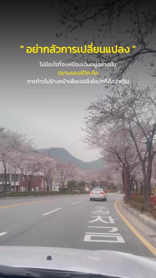 TikTok video thumbnail by beebeeteerak