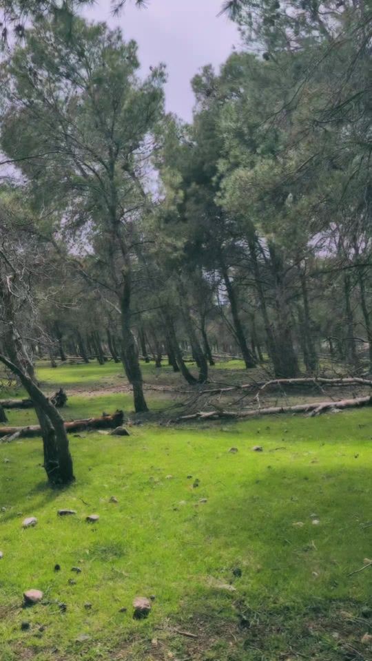 TikTok video thumbnail by khalil_djebbar