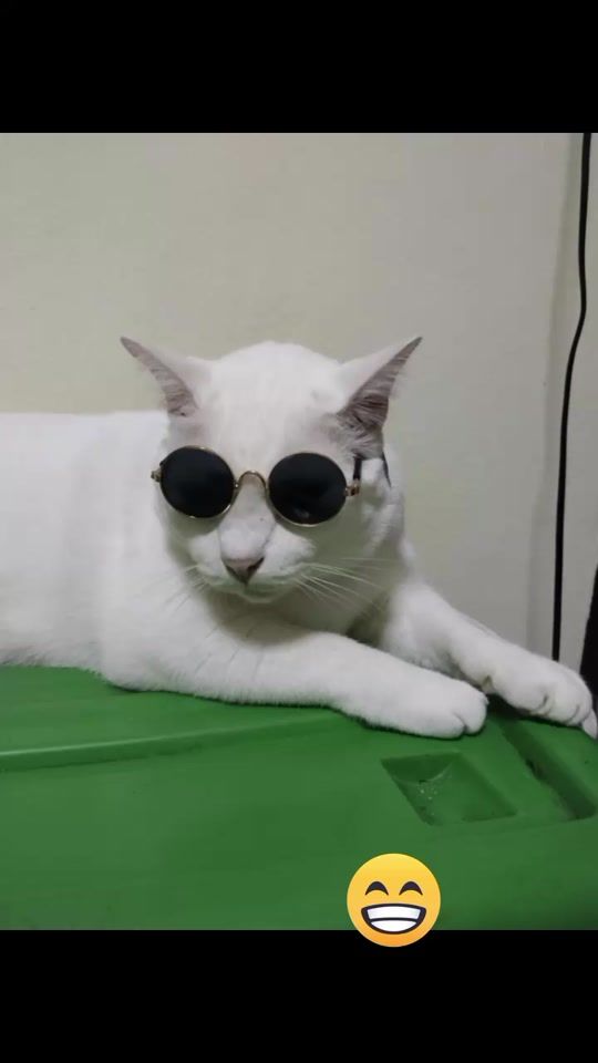 TikTok video thumbnail by user7630967738481