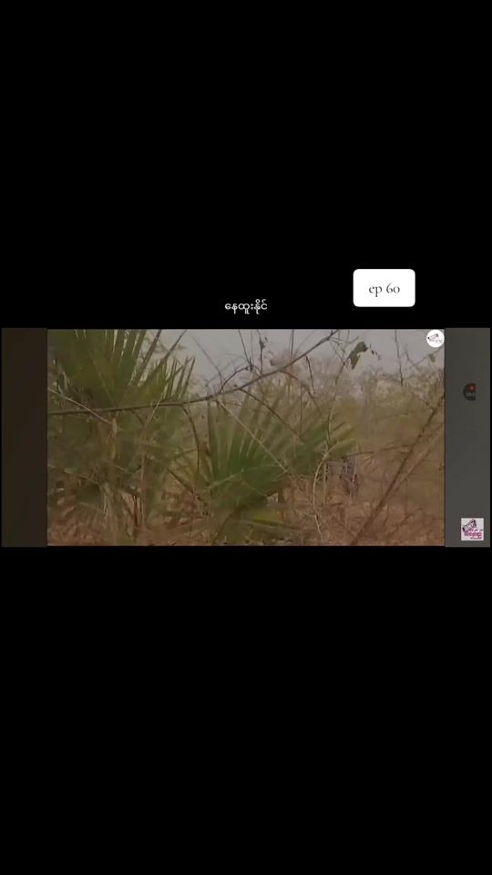 TikTok video thumbnail by thar.awer1