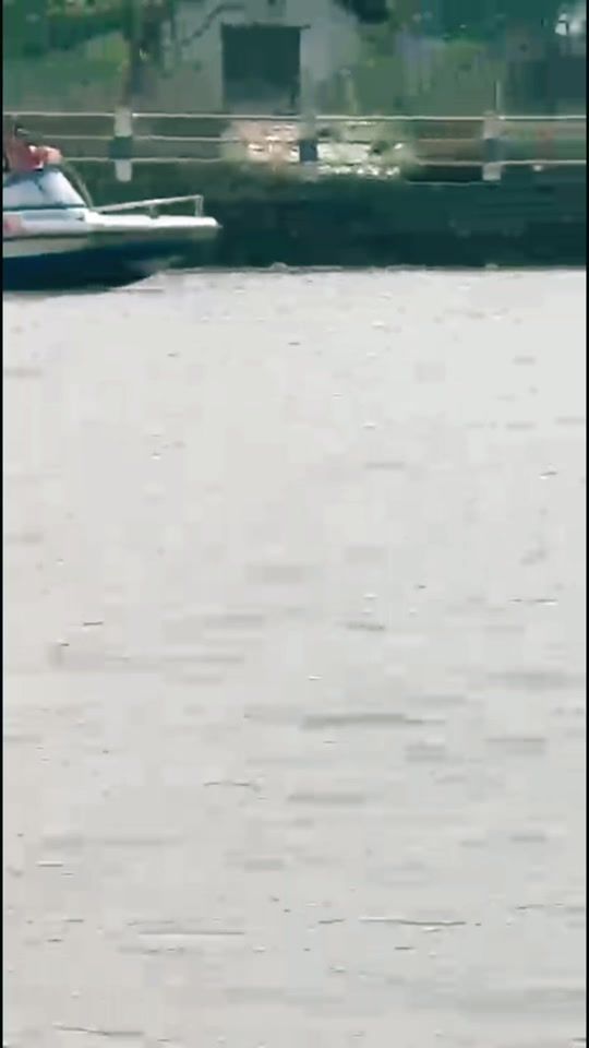 TikTok video thumbnail by rani_acharya
