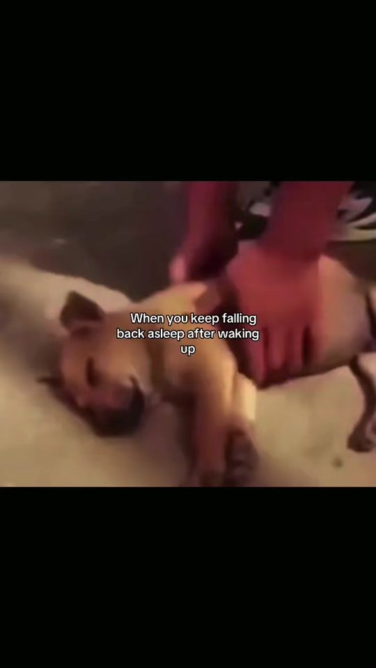 TikTok video thumbnail by gneishvilizz