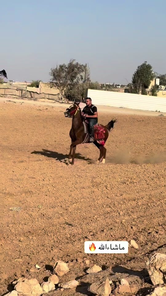 TikTok video thumbnail by yousef.8_1_8