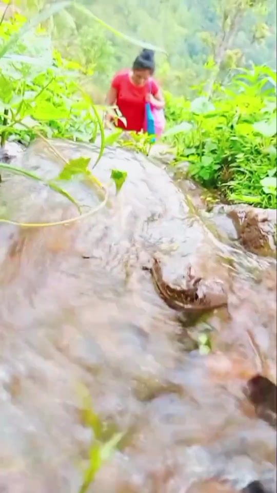 TikTok video thumbnail by sl.village.agricul