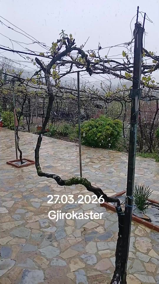 TikTok video thumbnail by gert.a2