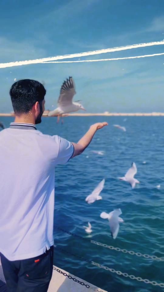 TikTok video thumbnail by farazafridiofficial8