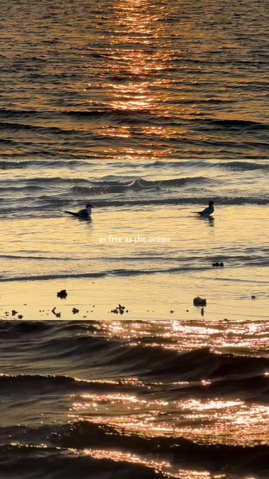 TikTok video thumbnail by nihthsdmp