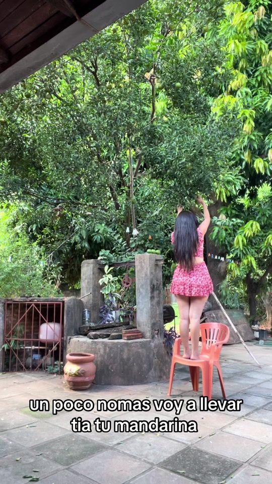 TikTok video thumbnail by monicarolon2