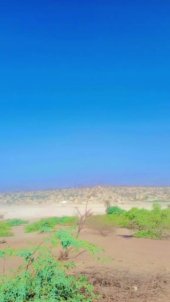 TikTok video thumbnail by a.d.willed_tarfe