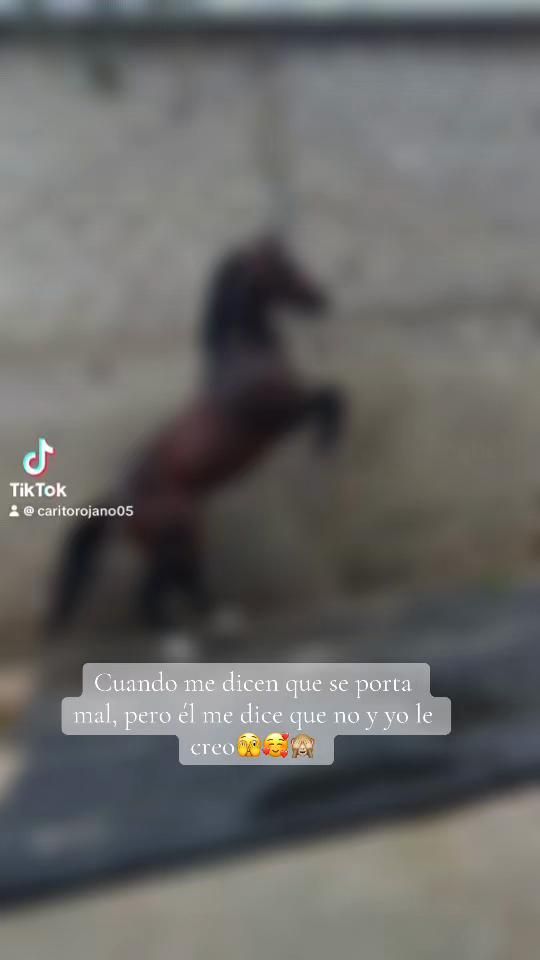 TikTok video thumbnail by caritorojano05