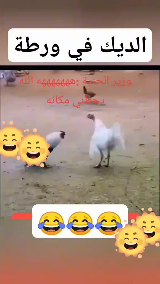 TikTok video thumbnail by user6557419140127