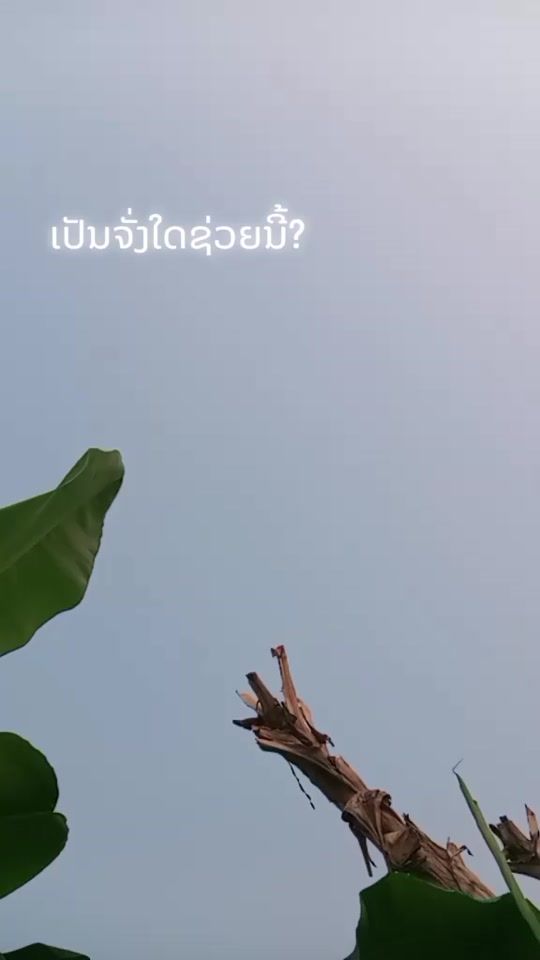 TikTok video thumbnail by 13.8078