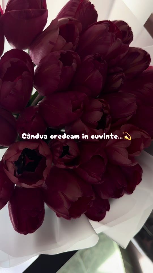 TikTok video thumbnail by kris.0796