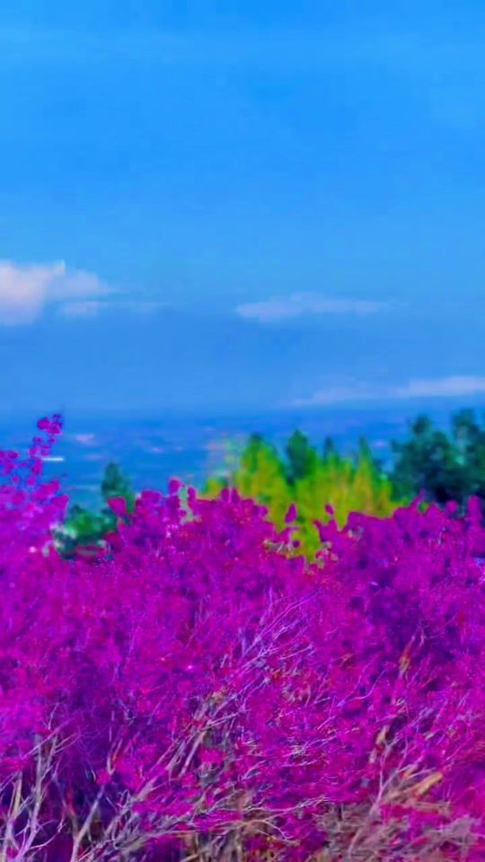 TikTok video thumbnail by naeim__4k