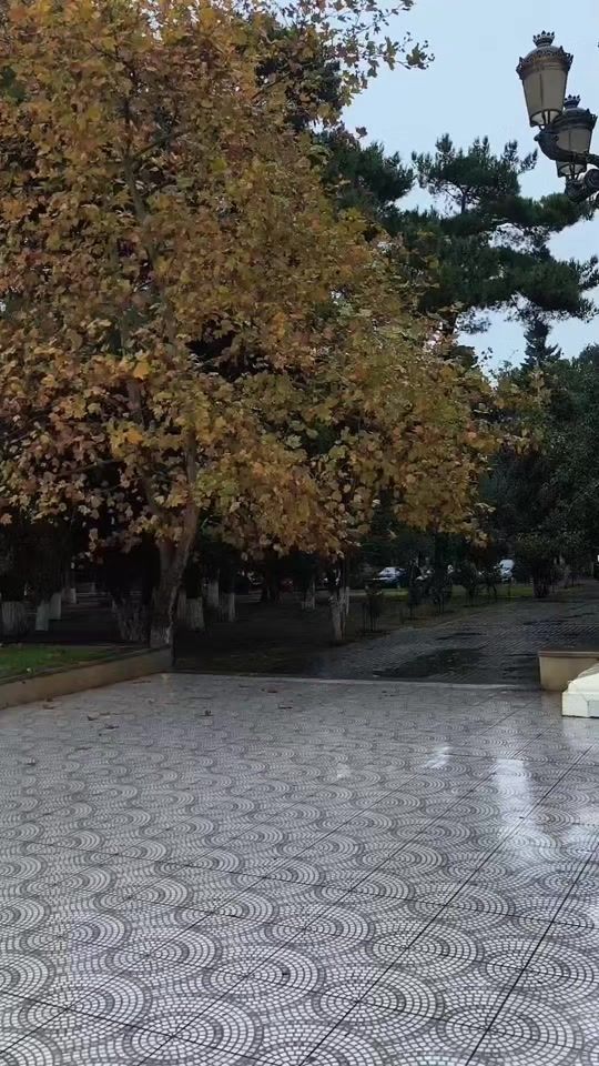 TikTok video thumbnail by unudub