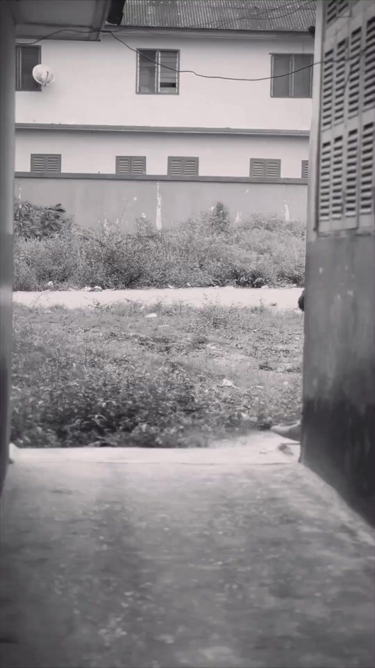 TikTok video thumbnail by shatarass