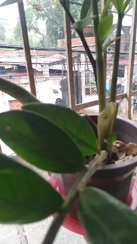 TikTok video thumbnail by anapito