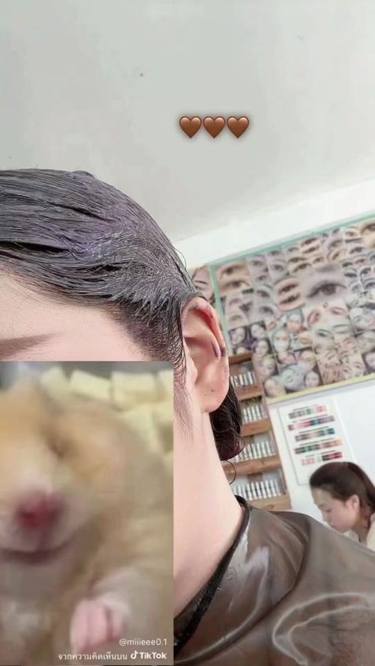 TikTok video thumbnail by .n77204